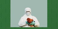 avian flu